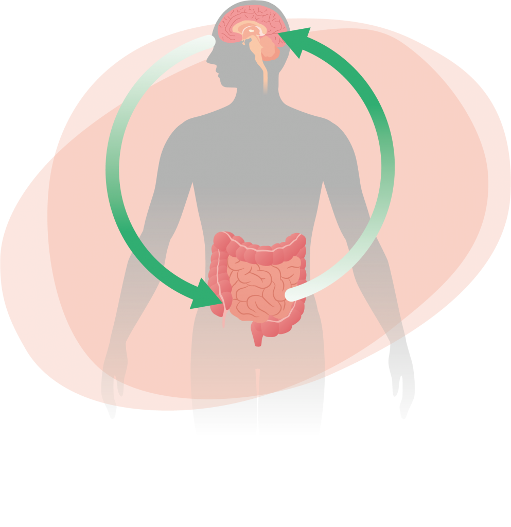 Che Cosa è Il Microbiota Intestinale - Reuflor